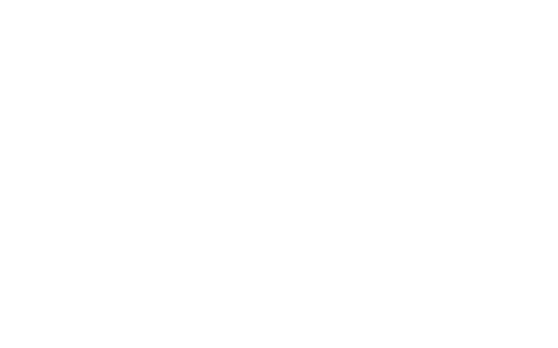 Havel & Partners