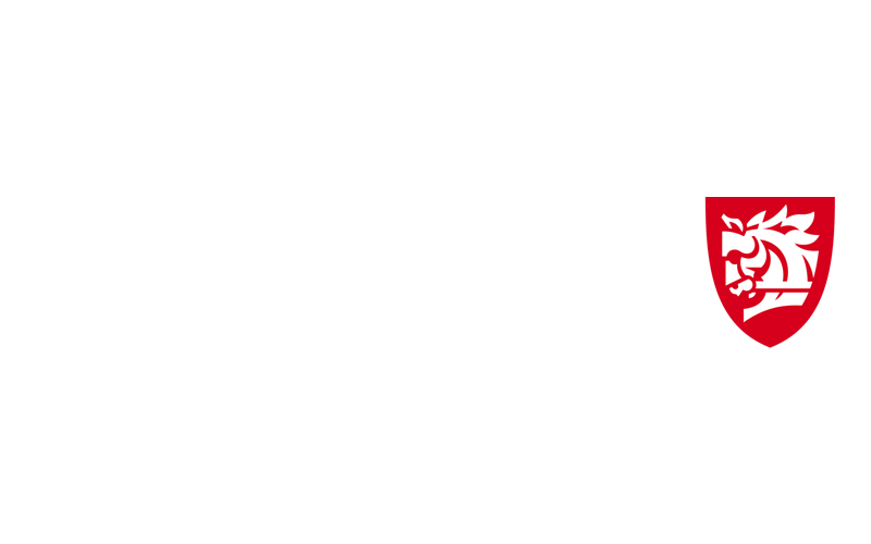 Warhorse Studios